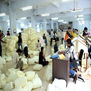 COTTON (58') view 3